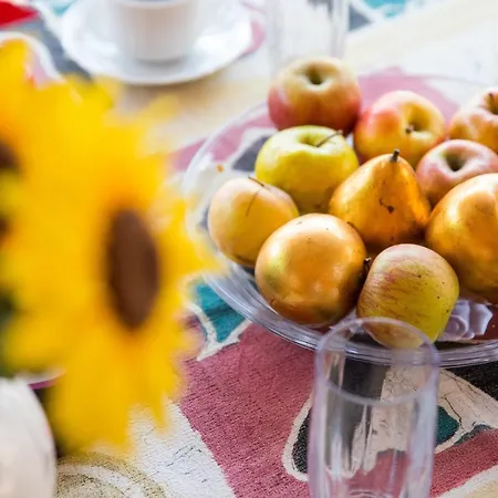 Seaside Zaton (Dubrovnik-Neretva)